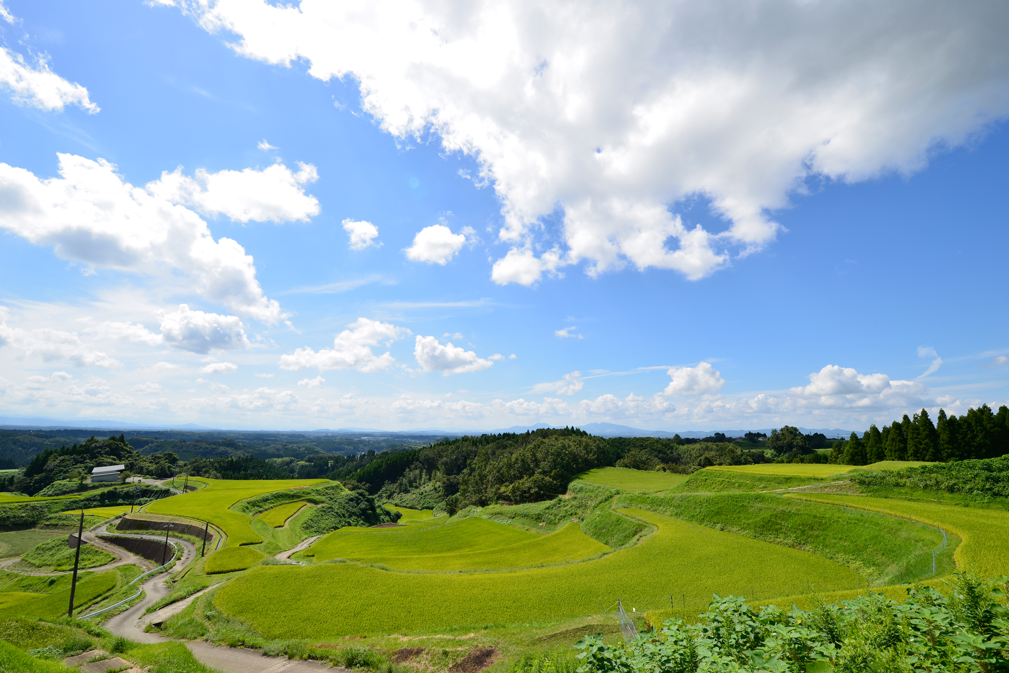 菊池市の棚田