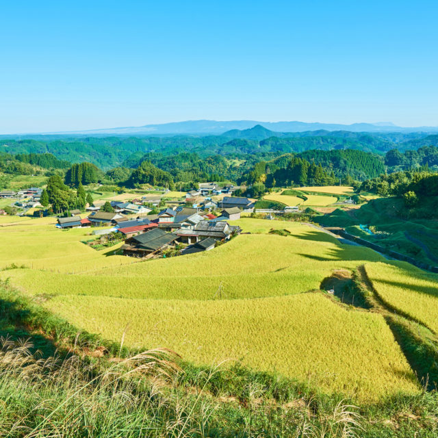 山都町菅地区の棚田