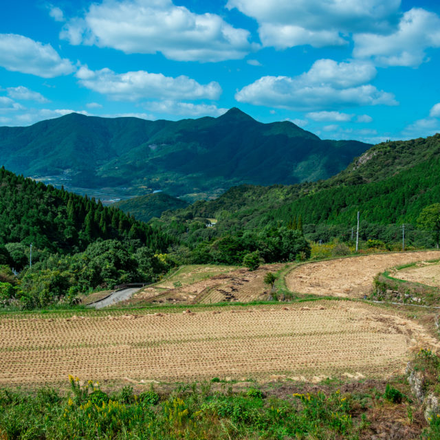 上天草市大作山の棚田